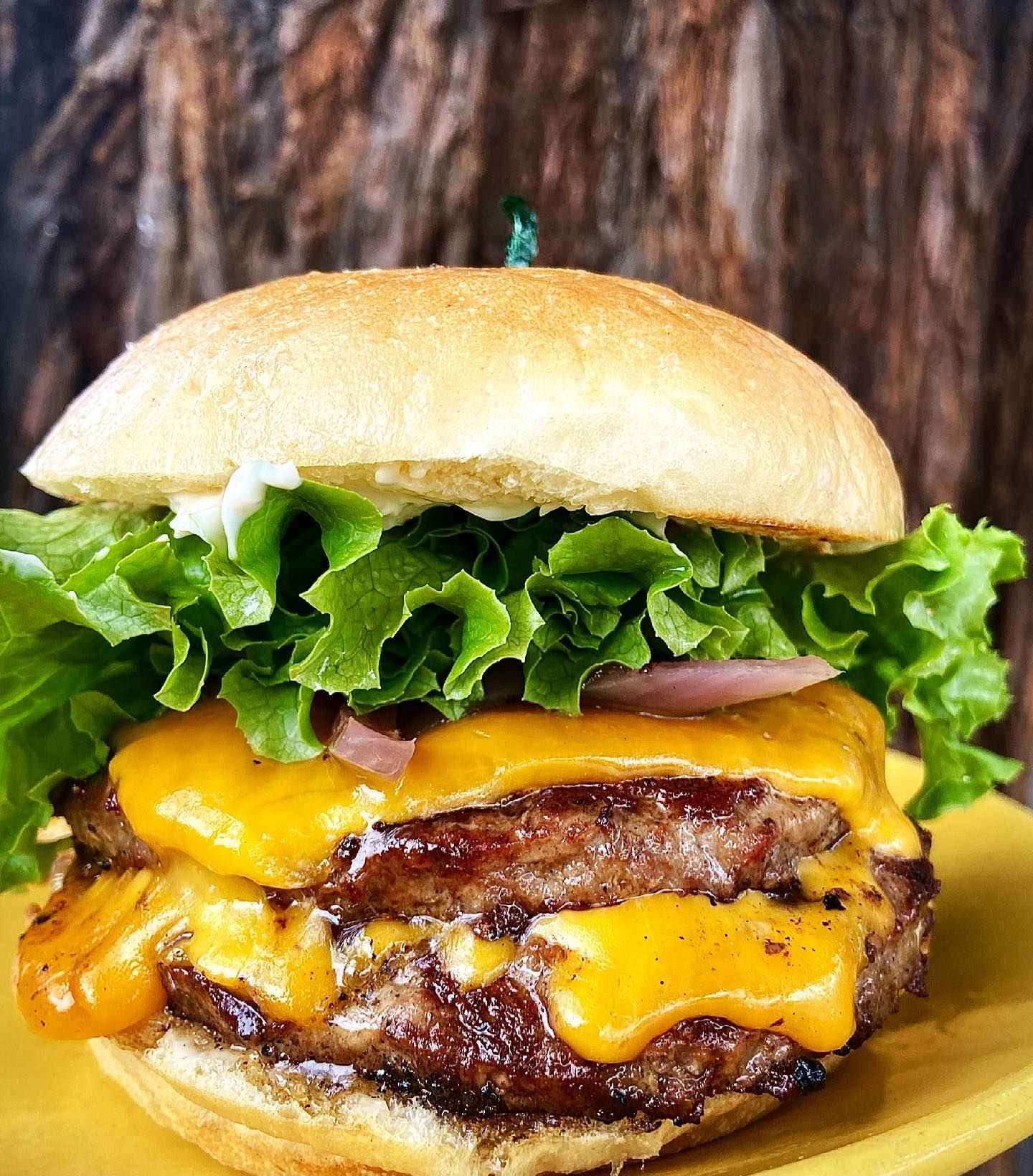 A thick Picazo Burger with melted cheddar, grilled onions, lettuce and tomato on a brioche bun, shot against Sonoma redwoods