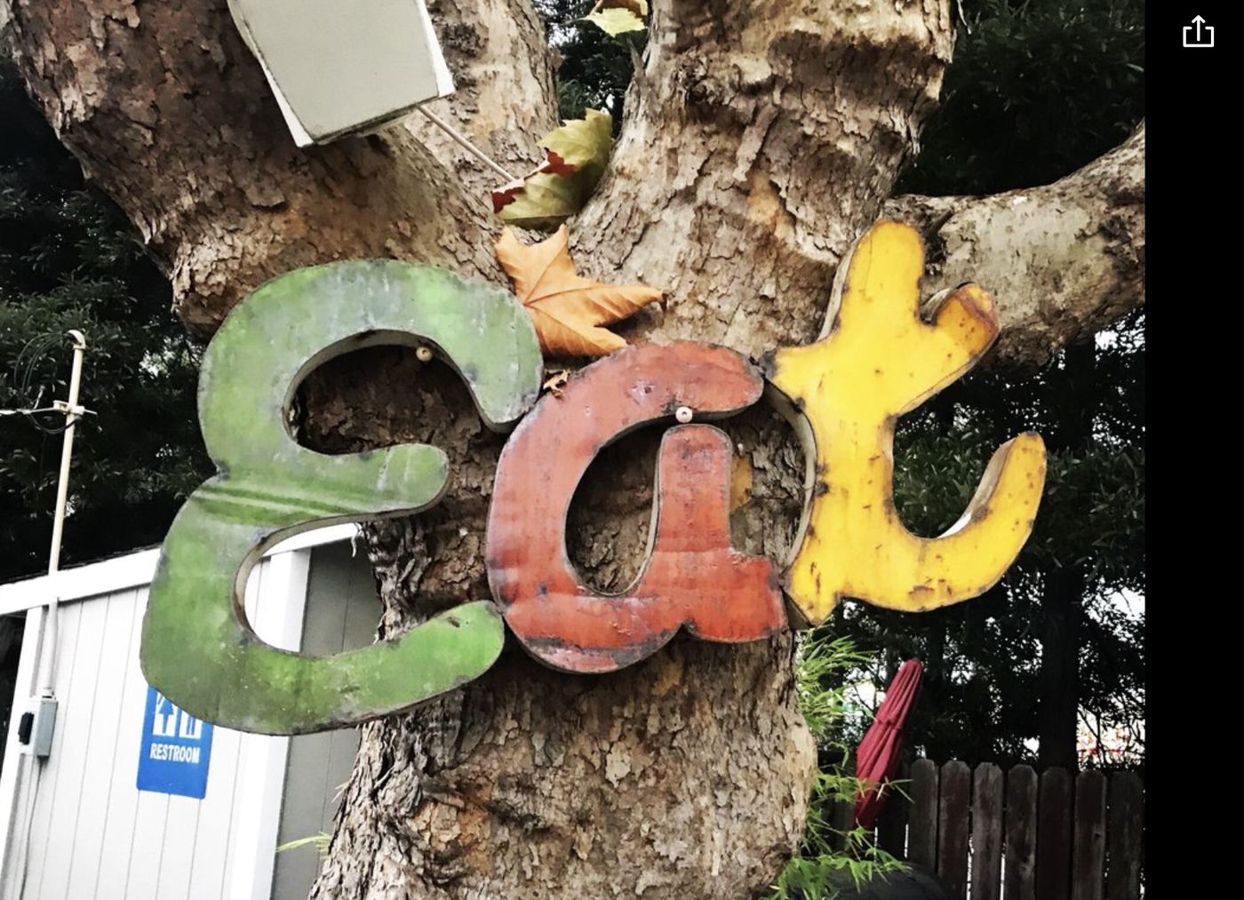 A colorful hand-painted 'eat' sign hanging in the tree above the Picazo Café patio